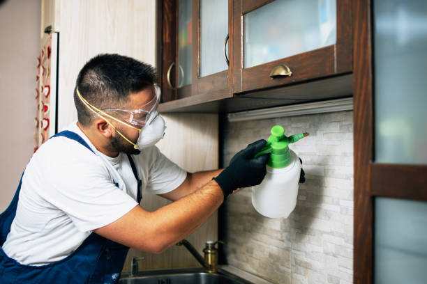 Best Best Pest Control Companies  in Plattsburgh, NY