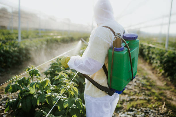 Best Exterminator Services  in Plattsburgh, NY